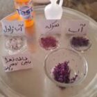 فاطمه زهرا رفیعی